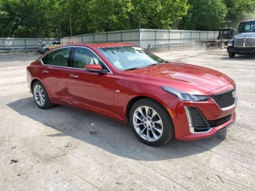 Cadillac 2023 Cadillac CT5 Premium Luxury 2023 3.0l 3.0 Benzyna 335KM, zdjęcie 4