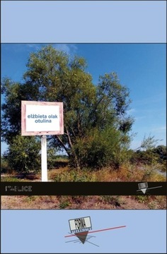 Отставание - электронная книга