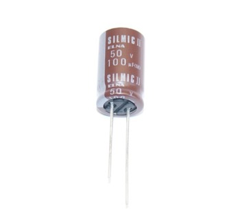 ELNA SILMIC II RFS 100uF/50V DO AUDIO (#155)