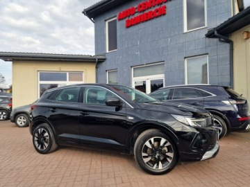 Opel 2023 Opel Grandland X, zdjęcie 10