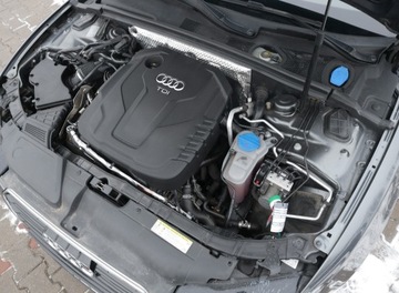 Audi A8 D4 2016 Audi A5 TDi190 Quattro Krajowa Skóra Hak Kamera Sam Parkuje LKA Fotel Sport, zdjęcie 25