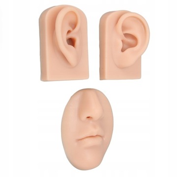 Model 3D nosa i ust Silikonowy model ucha