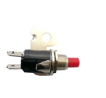 WYŁĄCZNIK BEZPIECZEŃSTWA MTD 725-0269
