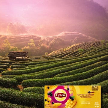 Чайный сервиз Lipton, фруктовый чай, все вкусы, 10х20 пакетиков