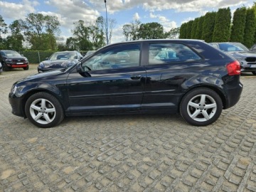 Audi A3 8P Hatchback 3d 1.4 TFSI 125KM 2009 Audi A3 3-drzwiowe 1,4 benzyna 125KM Automat, zdjęcie 16