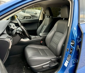 Lexus NX I 2020 Lexus NX 300h,Hybryda,4x4,Europa, zdjęcie 14
