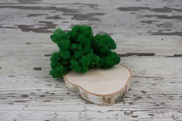 Олений мох темно-зеленый 100г.