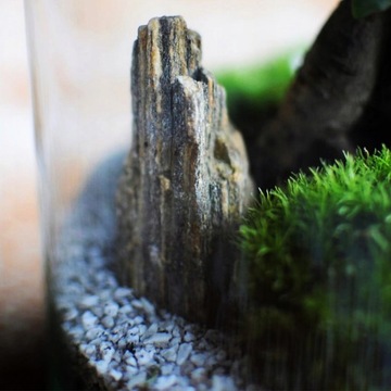 Набор из каменной коры ЛЕС В БАНКЕ Украшение 11-31