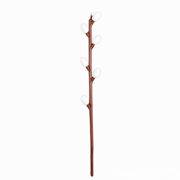 BAZIA ŚREDNIA BEZ LISTKÓW 18CM KOMPLET 5SZT