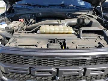 Ford 2020 Ford F150 2020 Ford F150 Raptor 3.5 Benzyna 450KM, zdjęcie 11