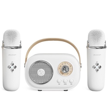 MIKROFON BEZPRZEWODOWY KARAOKE GŁOŚNIK BLUETOOTH C20 PLUS + 2 MIKROFON