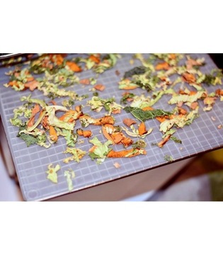 Сушилка для грибов, овощей и фруктов ДЕГИДРАТОР 700ВТ для ФРУКТОВ, ОВОЩЕЙ И ТРАВ