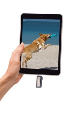 SanDisk Ultra Dual Drive USB Type C 32 ГБ