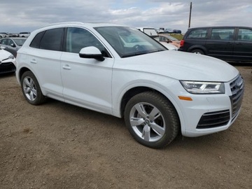 Audi Q5 II 2019 Audi Q5 Prestige 2019 2.0l 2.0 Benzyna 248KM, zdjęcie 4