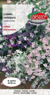 Lobelia zwisająca niebieska 0,2g nasiona Torseed