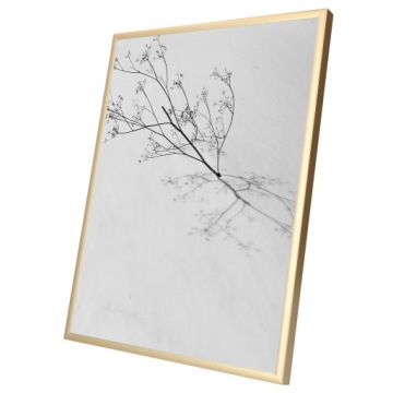 РАМА А2 РАМКИ ДЛЯ ФОТО 42x59 АЛЮМИНИЙ ЗОЛОТОЙ