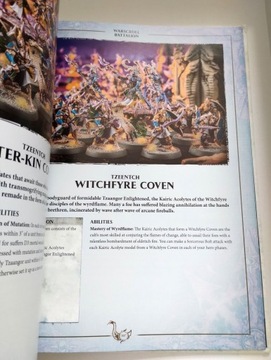 Последователи Тзинча — AoS 2017