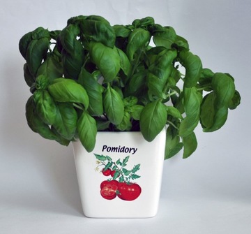 Горшок/крышка для помидоров, зелени и прочего