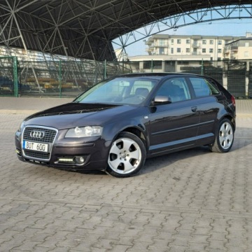 Audi A3 8P Hatchback 3d 2.0 TDI PD 170KM 2008 Audi A3 3-drzwiowe 2.0 Diesel 170KM, zdjęcie 6
