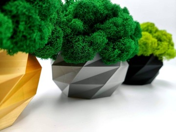 Деревянный цветочный горшок с мхом CHERRY MOSS в зольнике