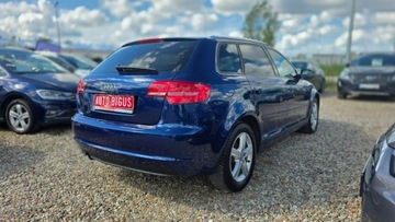 Audi A3 8V Hatchback 3d 1.6 TDI 105KM 2013 Audi A3 Sportback navi climatronic, zdjęcie 5