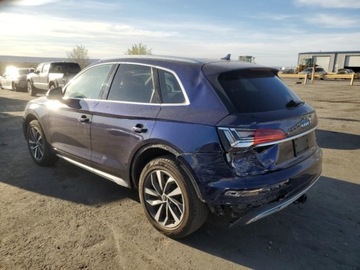 Audi Q5 II 2021 Audi Q5 2021r., Premium Plus, od ubezpieczalni 2.0 Benzyna 261KM, zdjęcie 2