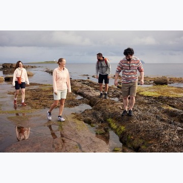 Spodenki trekkingowe męskie Craghoppers NosiLife Cargo Short III pebble 46