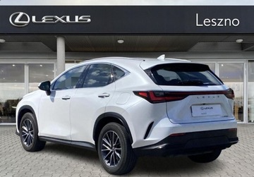 Lexus NX II SUV Facelifting 2.5 350h 243KM 2024 Lexus NX 350h Elegance 2WD VAT 23 2024r. Salon PL 1 wlasciciel ASO, zdjęcie 2