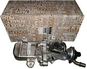 CHŁODNICA SPALIN EGR R MASTER 3 2.3DCI 147353457R