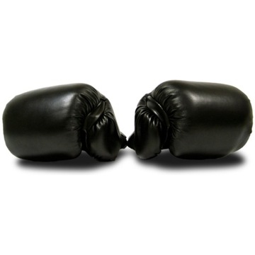 Боксерские перчатки MASTER TG8 8 унций