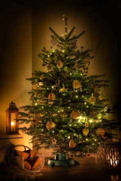 ПОДСТАВКА ДЛЯ РОЖДЕСТВЕНСКОЙ ЕЛКИ ВЫСОЙ ДО 3М