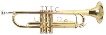 Труба Roy Benson TR-101 + футляр