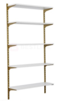 GARDEROBA JEDNOMODUŁOWA Best-line 100x200 ZŁOTA