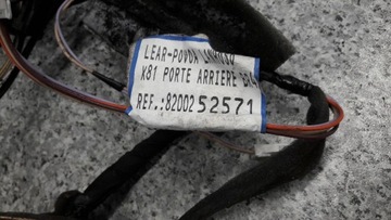 8200252571 INSTALACE DVEŘE PRAVÝ ZADNÍ ESPACE IV