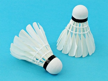 Перьевые воланы для бадминтона, 6 шт.