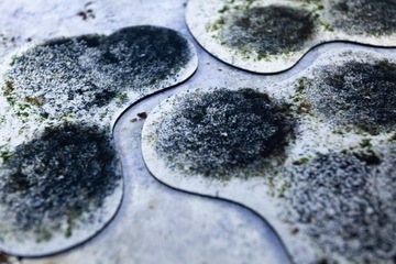 2D УНИВЕРСАЛЬНЫЕ ПЛОЩАДКИ - ЗИМНИЙ ЛЕС