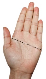 КОРОТКИЕ ГЕЛЕВЫЕ ВЕЛОСИПЕДНЫЕ ПЕРЧАТКИ, ХОРОШАЯ АМОРТИЗАЦИЯ