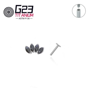 Пирсинг внутренней части грудной клетки, модная радость, GEMA, Лабрет, Монро,