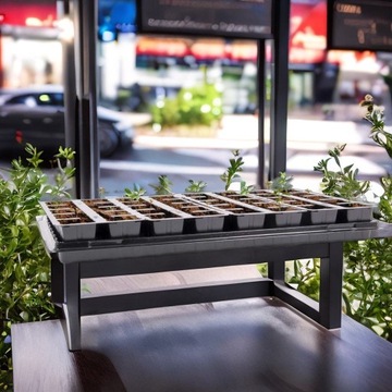 Мини теплица – мультигоршок для посева на 40 ячеек и поднос-подставка.