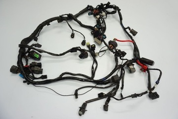 TRIUMPH DAYTONA 675 06-12 УСТАНОВКА ГЛАВНОГО ЖГУТА ПРОВОДОВ