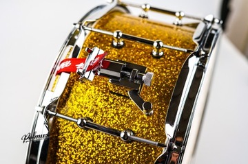 Полмуз Ореховый барабан 14x6,5 Gold Sparkle WARP