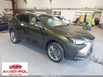 Lexus NX II 2026 Lexus NX 2026 LEXUS NX 350H LUXURY 2.5 Hybryda 189KM