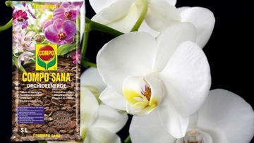 ПРОФЕССИОНАЛЬНЫЙ COMPO SANA 5Л ЛЕГКИЙ СУБСТРАТ ДЛЯ ОРХИДЕИ ОРХИДЕИ