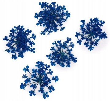 убить цветы сушеные цветы СИНИЕ цветы