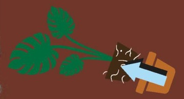 ПОЧВА ДЛЯ МОНСТЕРЫ - ГОТОВЫЙ СУБСТРАТ МОНСТЕРА С SERAMIS WESTLAND ОБЪЕМОМ ДО 16 Л