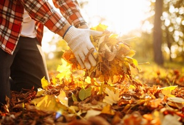 САДОВЫЙ ПРИЦЕП ПРИЦЕП ДЛЯ ТРАНСПОРТИРОВКИ БАЛЧКИ С ПОДЪЕМОМ КОЛЕСА ДО 400 КГ 100 Л