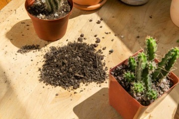ГРУНТ ДЛЯ КАКТУСОВ И СУККУЛЕНТОВ АЛОЭ ВЕРА ПРОНИЦАЕМЫЙ 5Л