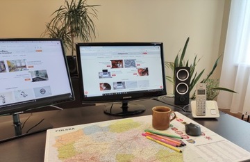 Настольный коврик MAP OF POLAND 70x50 Противоскользящий