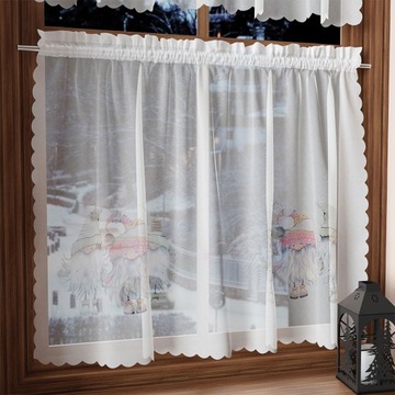 GNOM Zazdrostka woalowa, WOAL