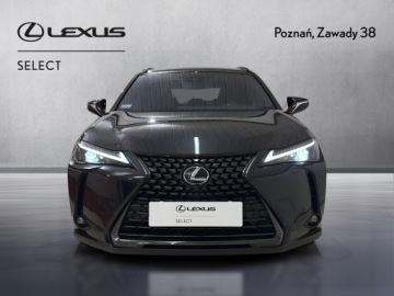 Lexus UX 2022 Lexus UX 250h GPF F Impression 2WD Lexus UX 250h G, zdjęcie 5